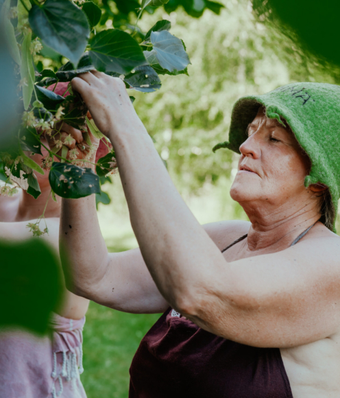 saunaviha-valmistamine-3