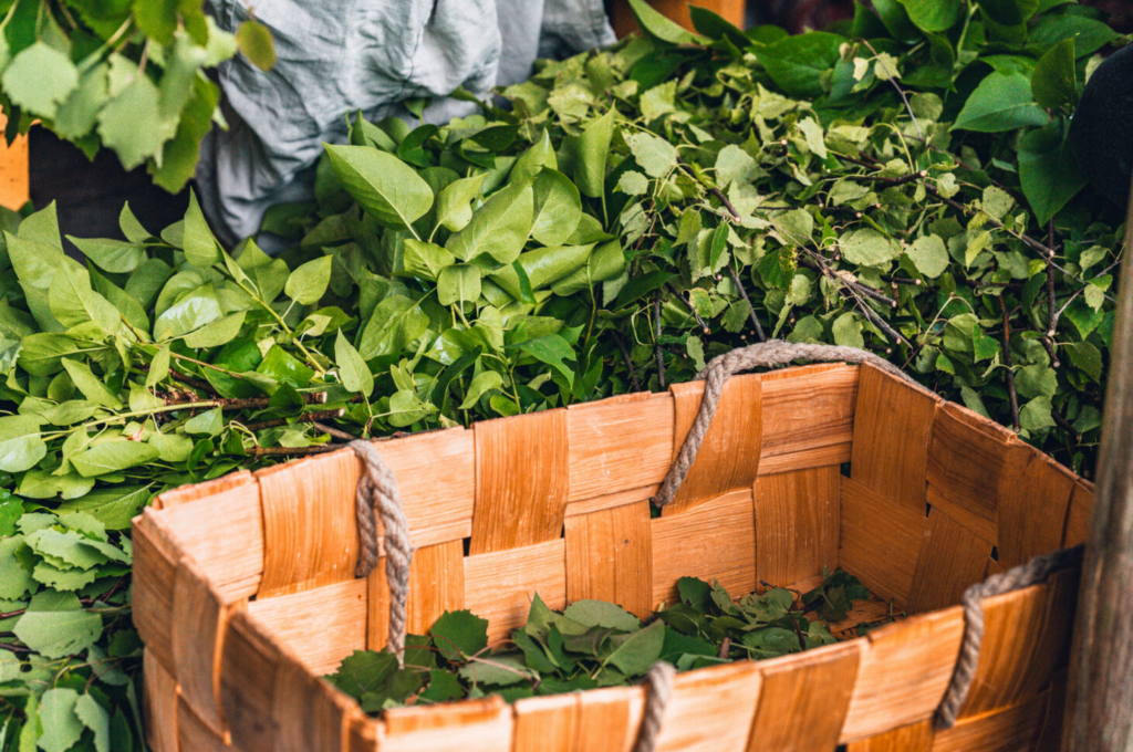 kuidas-kasutada-kuivatatud-saunavihta-2