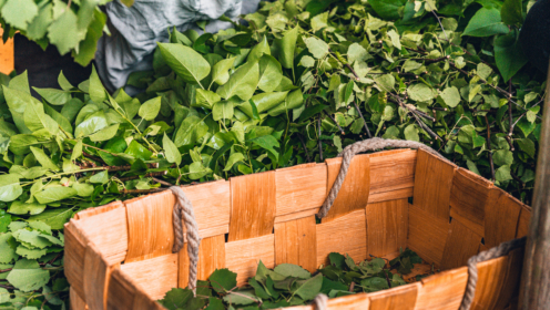 Making a sauna whisk: a simple tutorial 5 dsc00129